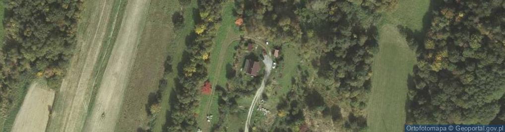 Zdjęcie satelitarne Angielski Ogród
