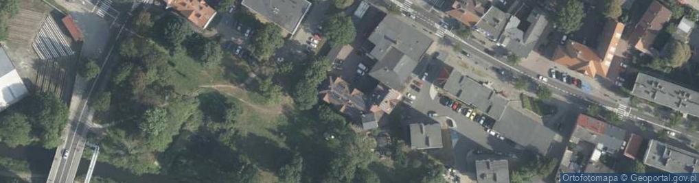 Zdjęcie satelitarne Animals Star