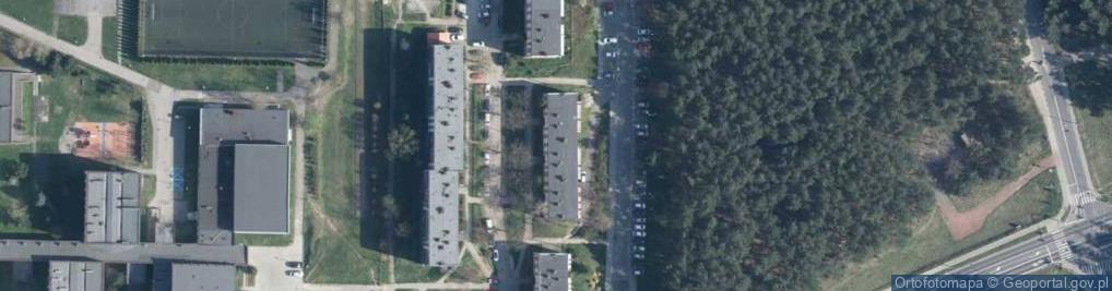 Zdjęcie satelitarne Animisie