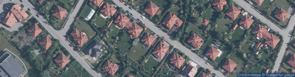 Zdjęcie satelitarne Animus
