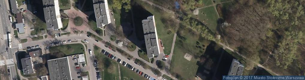 Zdjęcie satelitarne Anmis Angelika Siuda Michał Stępniak