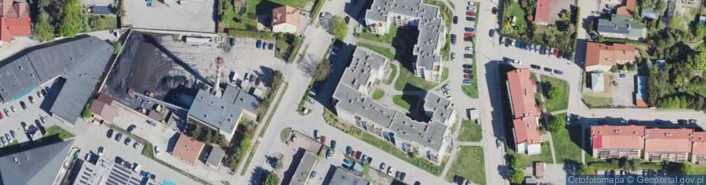 Zdjęcie satelitarne Anna Gutowska-Łysakowska