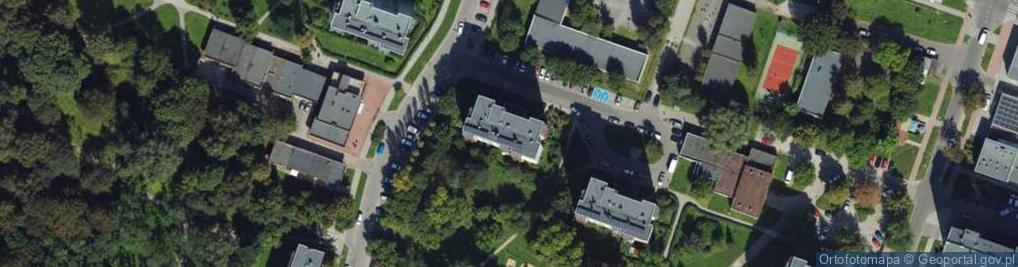 Zdjęcie satelitarne Anna Krzysztoforska