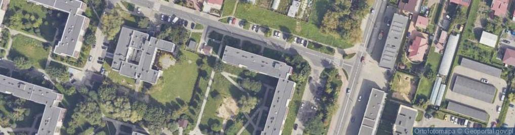 Zdjęcie satelitarne Anna Łęcka