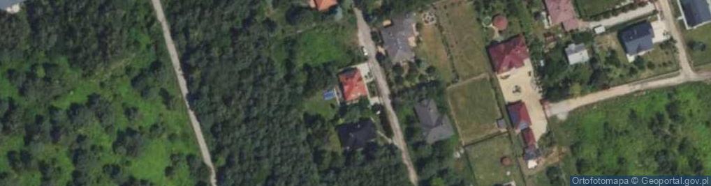 Zdjęcie satelitarne Anna Wasilewska