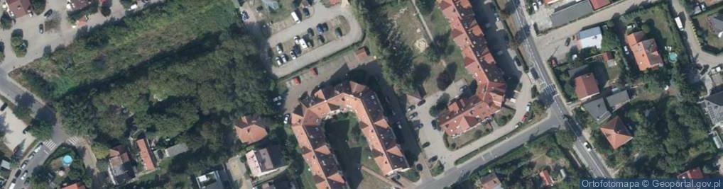 Zdjęcie satelitarne Anturium Grażyna Lidia Durlej