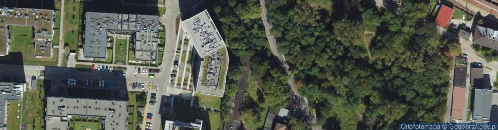 Zdjęcie satelitarne APOLONIA RDZANEK