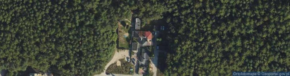 Zdjęcie satelitarne Arai