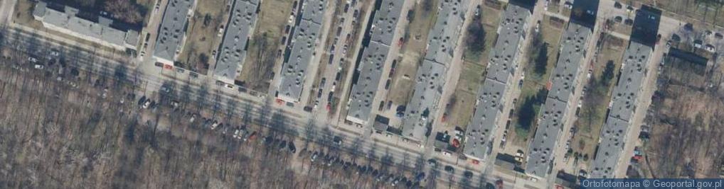 Zdjęcie satelitarne Arbori