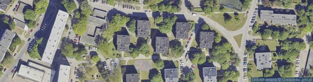 Zdjęcie satelitarne ARch