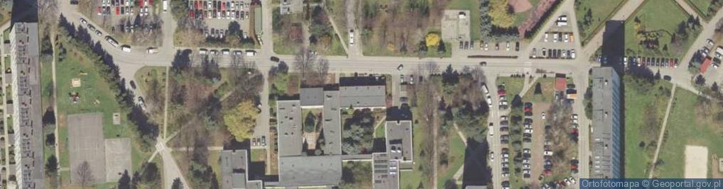 Zdjęcie satelitarne Arico