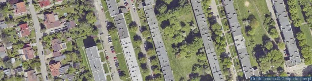 Zdjęcie satelitarne Arnold Lippa