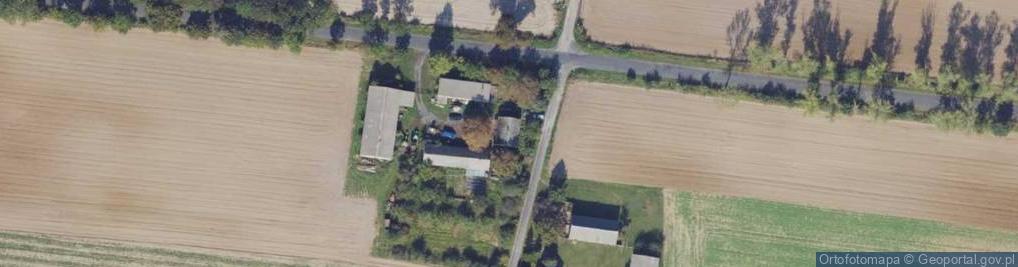 Zdjęcie satelitarne Arrowana