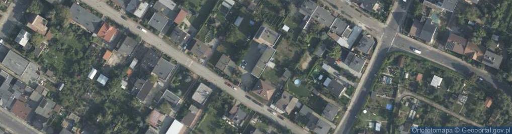 Zdjęcie satelitarne Art - Dekoracyjne Koala Benita Foremska