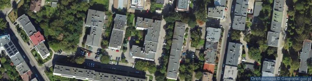 Zdjęcie satelitarne Art Men