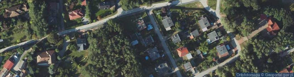 Zdjęcie satelitarne Art Relief Lux Wiesław Homeniuk