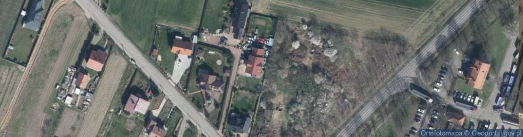 Zdjęcie satelitarne Artex Joanna Kalin