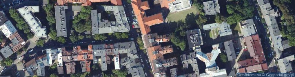 Zdjęcie satelitarne Artysta Plastyk Konserwator Dzieł Sztuki