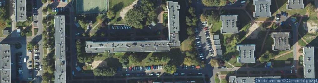 Zdjęcie satelitarne Artystyczne Imp Okolicznościowe Żółty Kot Weronika Polak