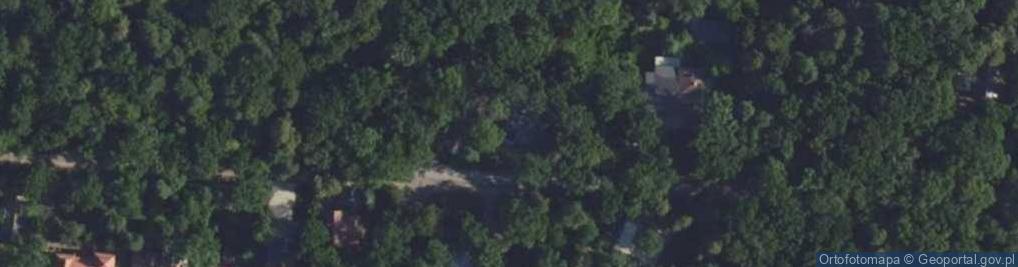 Zdjęcie satelitarne Asm Consulting