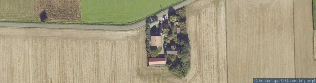 Zdjęcie satelitarne Aswoods Adam Cieślar Sebastian Szymański