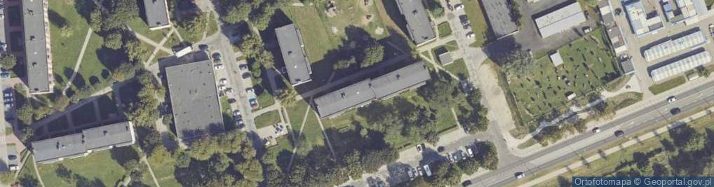 Zdjęcie satelitarne Audytor