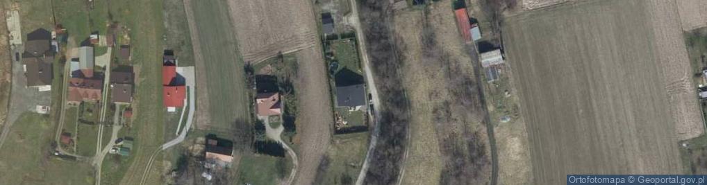 Zdjęcie satelitarne Auto-Fox