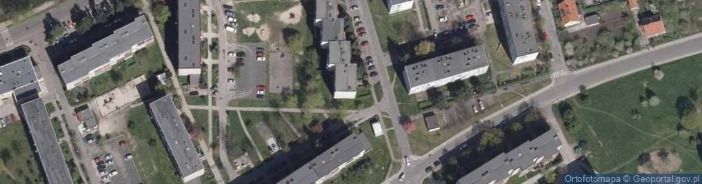 Zdjęcie satelitarne Auto Handel Import Eksport