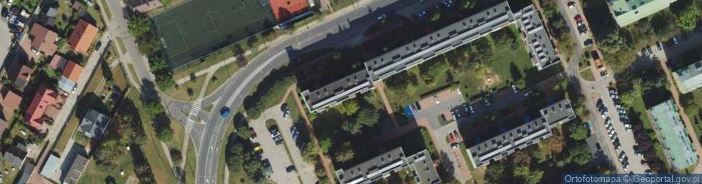 Zdjęcie satelitarne Auto Komis Raven