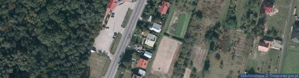 Zdjęcie satelitarne Autoelektronika'' - Janusz Rzeszutek