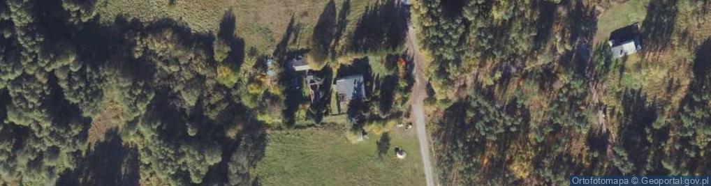 Zdjęcie satelitarne Avisea Krzysztof Szostak