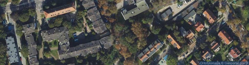 Zdjęcie satelitarne Azalia