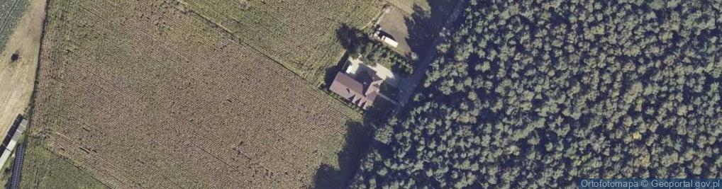 Zdjęcie satelitarne B.B TRANSBartłomiej Bugajny