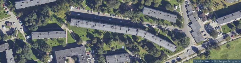 Zdjęcie satelitarne Beata Bilińska-Knot