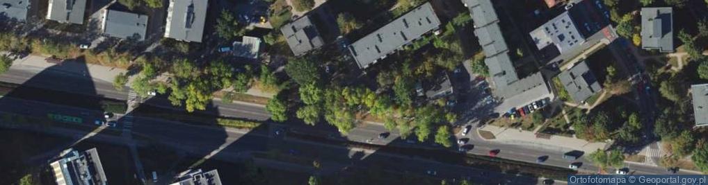 Zdjęcie satelitarne Berlin Beata Dawidowicz Robert Malko
