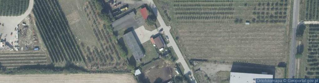 Zdjęcie satelitarne Białośliwska Spółdzielcza Grupa Producentów Owoców Sady Krajny