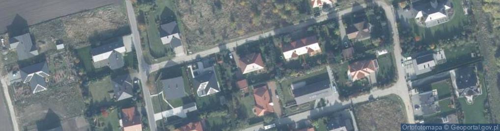 Zdjęcie satelitarne Biedronka w Upadłości