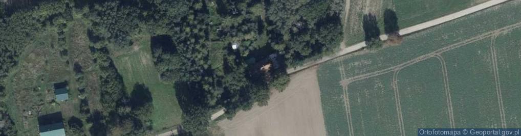 Zdjęcie satelitarne Biuro Konsultacji Językowych