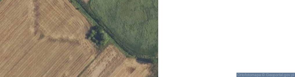 Zdjęcie satelitarne Bliket Grzegorz Bylina