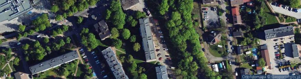 Zdjęcie satelitarne Blixar