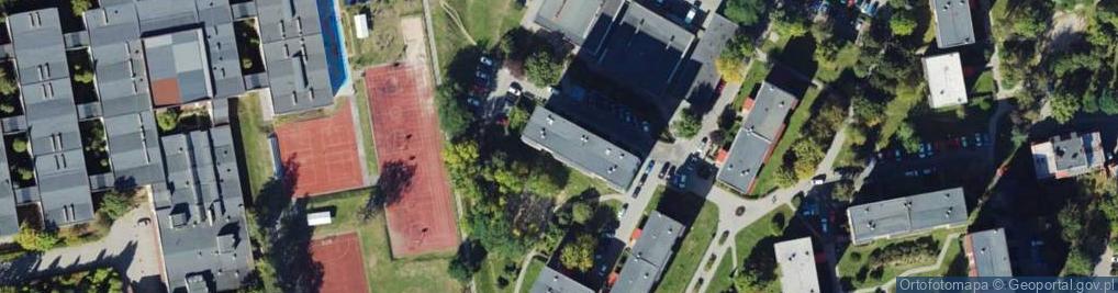 Zdjęcie satelitarne "Blue" Anna Mazanek