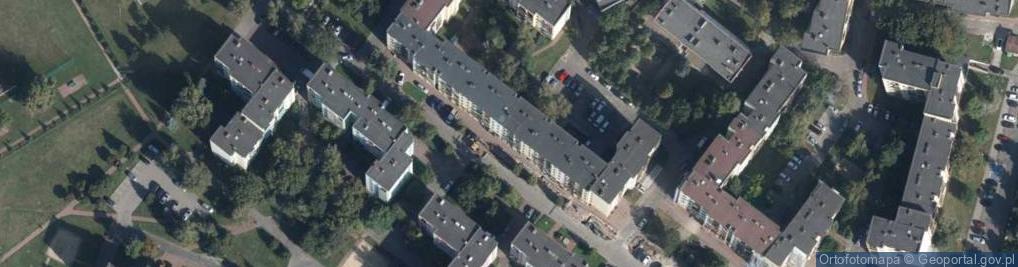 Zdjęcie satelitarne Blue Dot Michał Mazurek i Paweł Walczuk