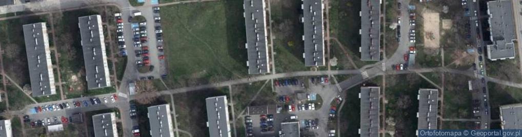 Zdjęcie satelitarne BOMA