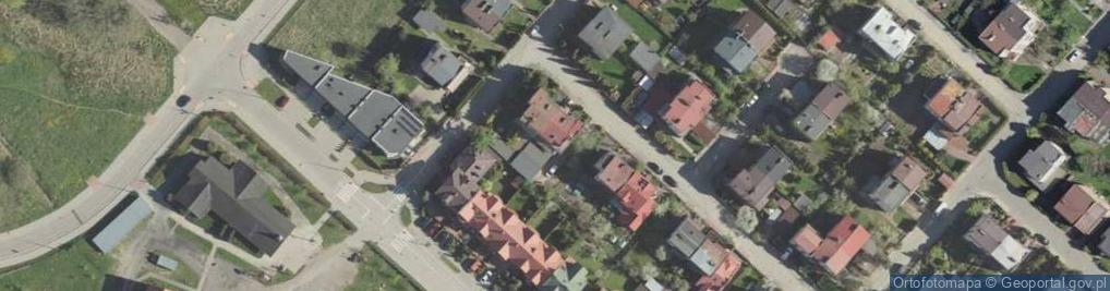 Zdjęcie satelitarne Bor G Borowski Beszta J Czurak
