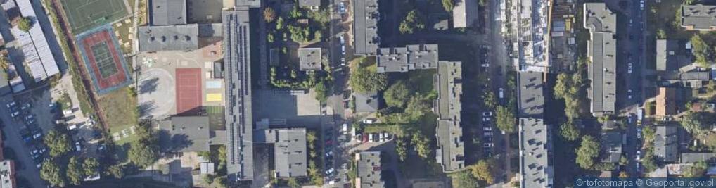 Zdjęcie satelitarne Borowski Piotr Pejabor