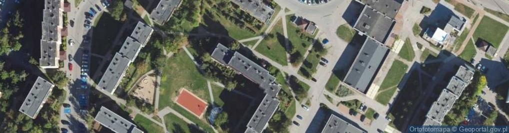 Zdjęcie satelitarne Bronisław Przekopski - Działalność Gospodarcza