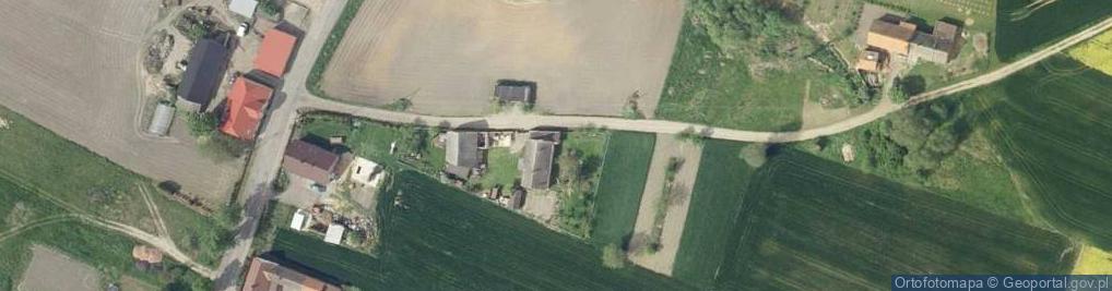Zdjęcie satelitarne Bukieciarstwo