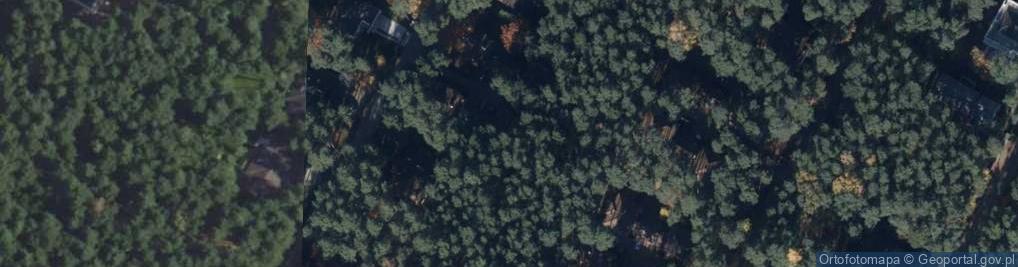 Zdjęcie satelitarne Business Consulting Aleksander Kajdy