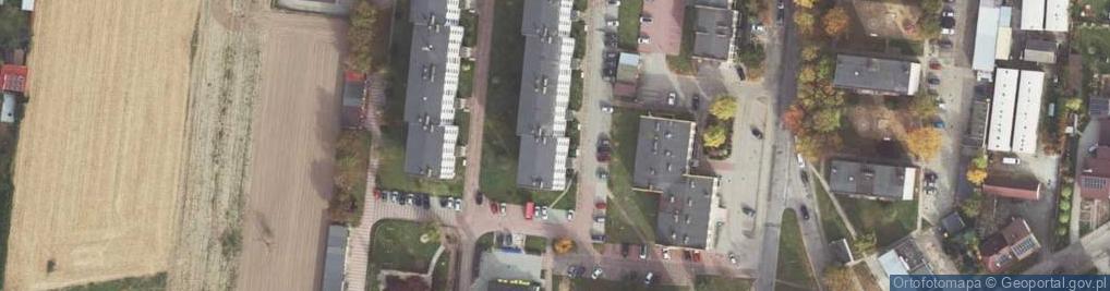 Zdjęcie satelitarne Byliny i Susz Roślinny