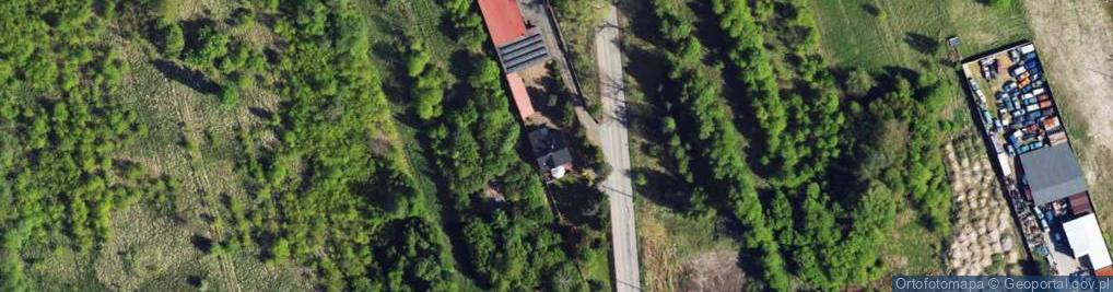 Zdjęcie satelitarne Carina